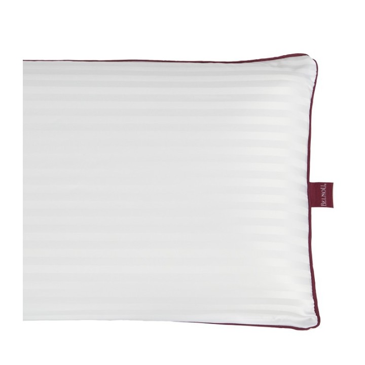 Almohada Viscoseda de Belnou