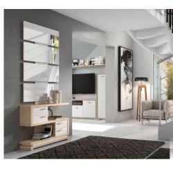MUEBLE RECIBIDOR VAMASUR Y ESPEJO INSIDE 106