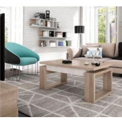 MESA CENTRO ELEVABLE VAMASUR 142